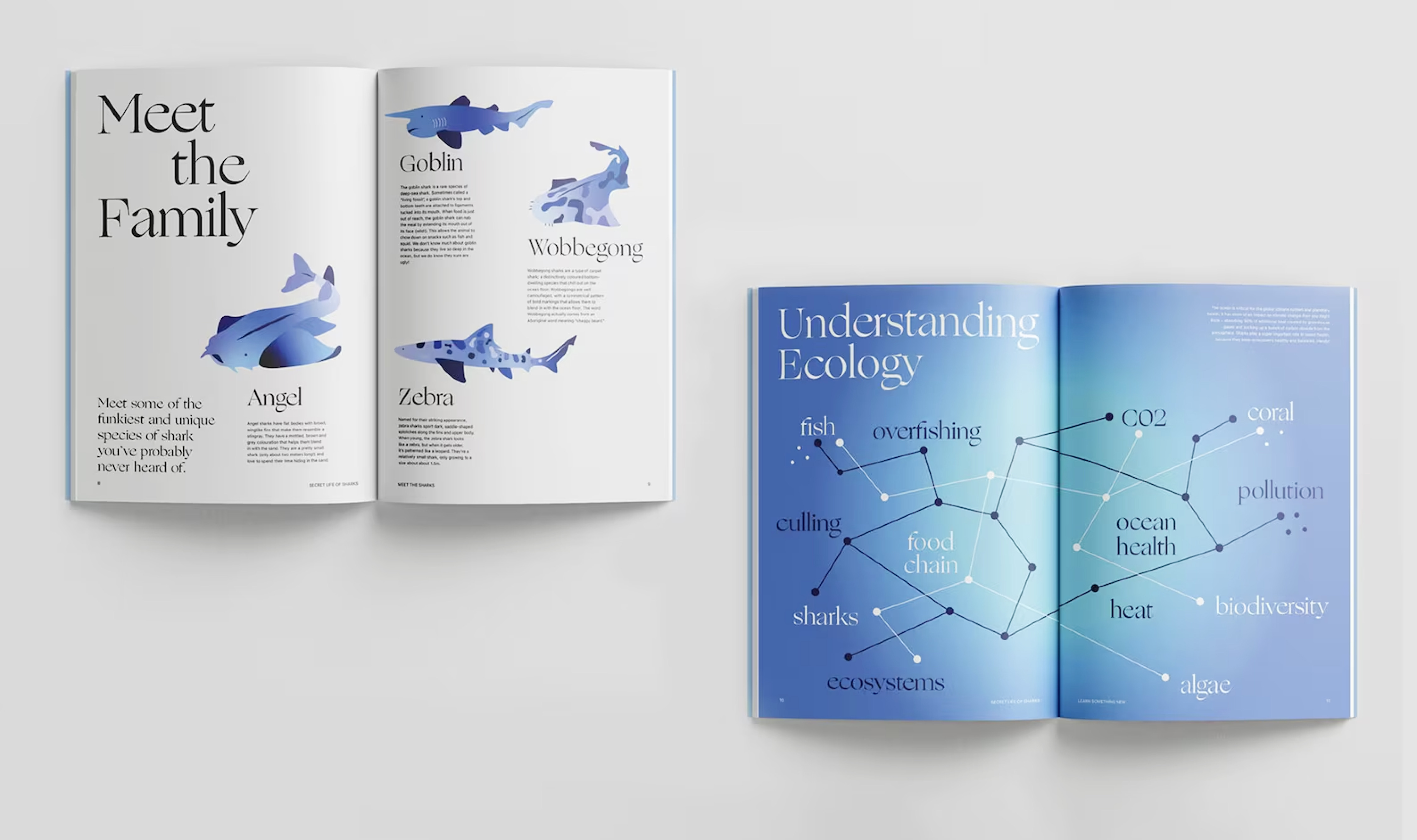 Secret Life of Sharks book spreads