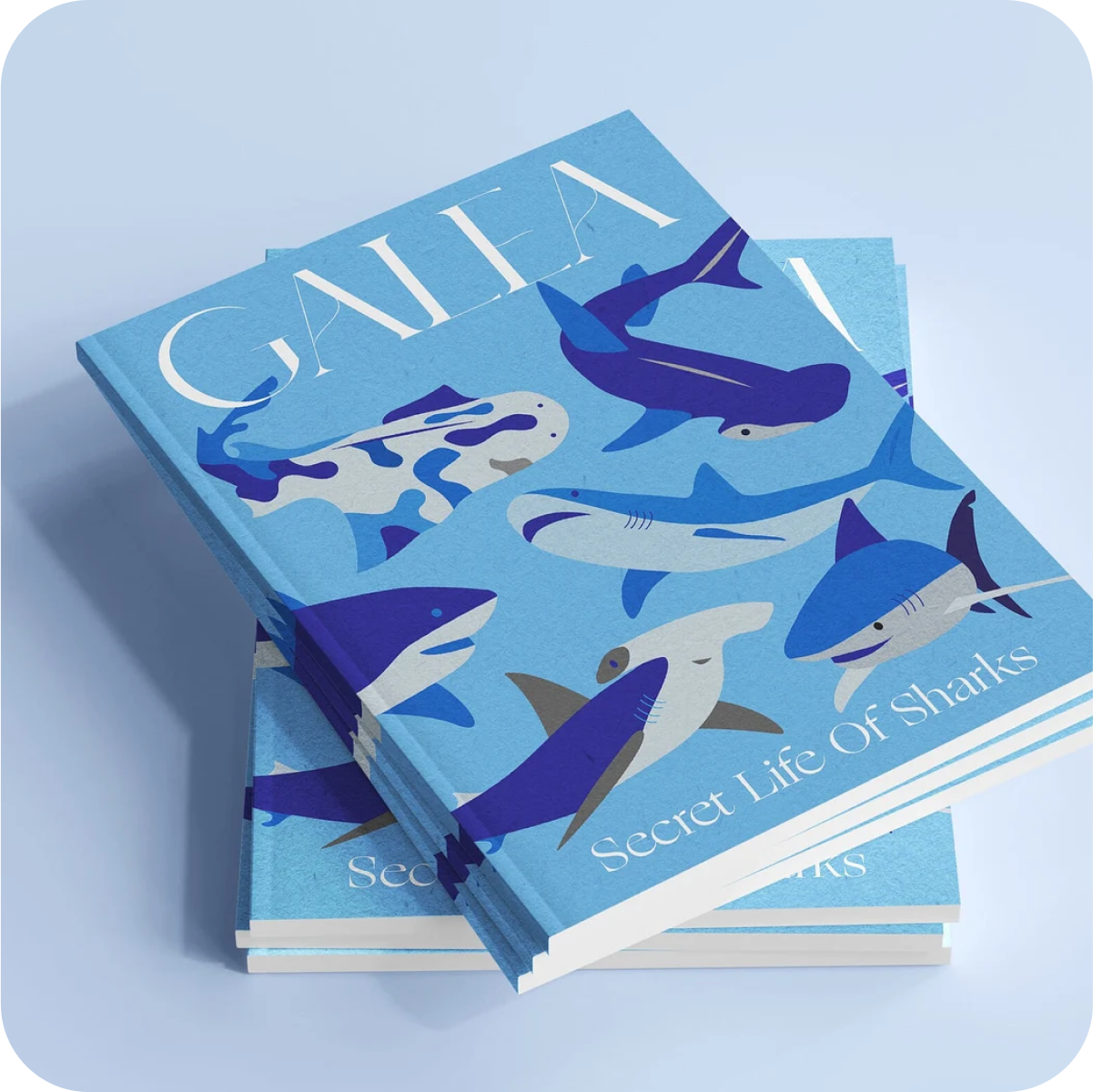 Secret Life of Sharks Book