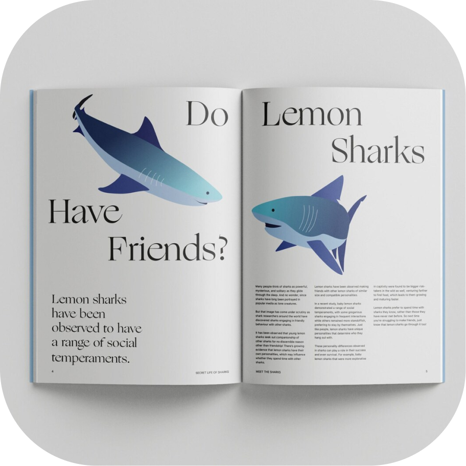 Secret Life of Sharks publication detail