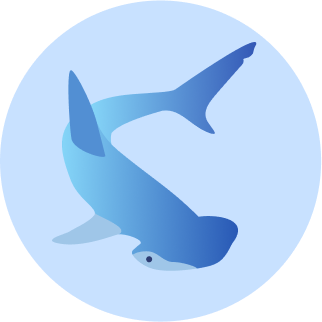 Icon 1